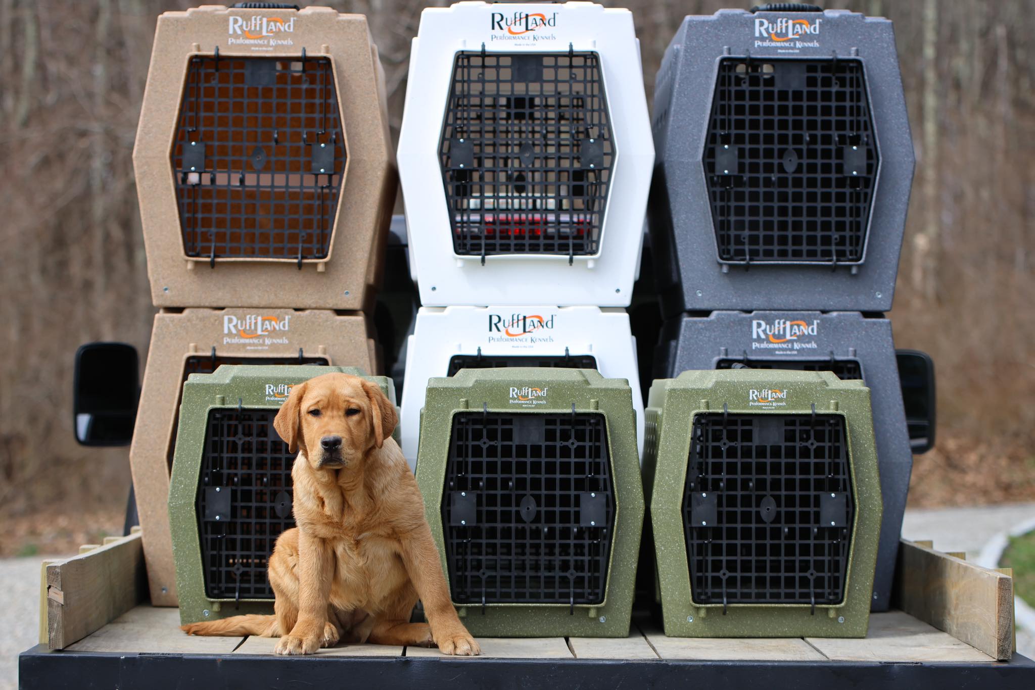 Ruffland Kennels & Accessories