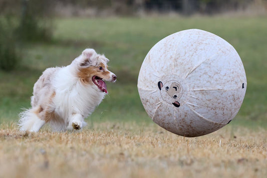 Better Sporting Dogs 25” Heavy Duty Sheep Lookalike Herding Ball for Dogs