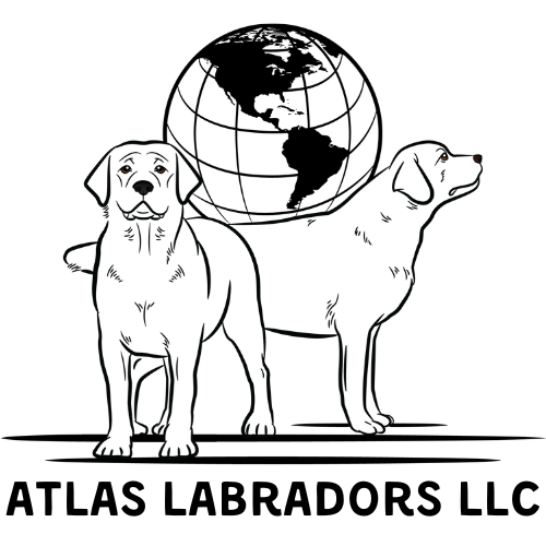 Atlas Sporting Dog Supply