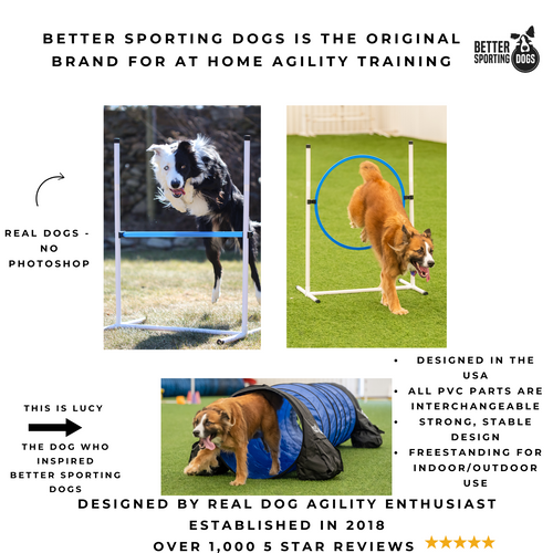 Better Sporting Dogs 7 Piece Dog Agility Equipment Set –  with Jumps, Tunnels, Pause Box & Weave Poles