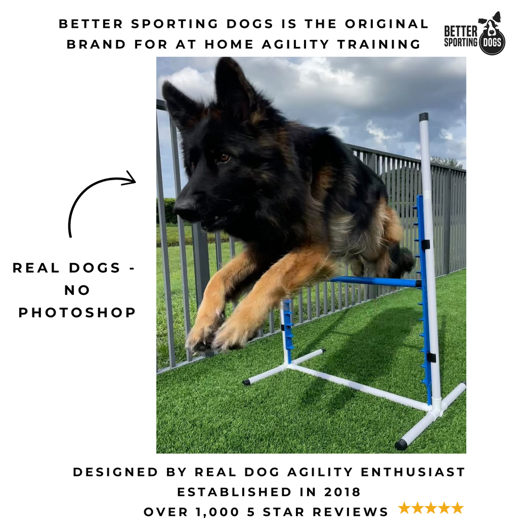 Better Sporting Dogs Adjustable Dog Agility Bar Jumps