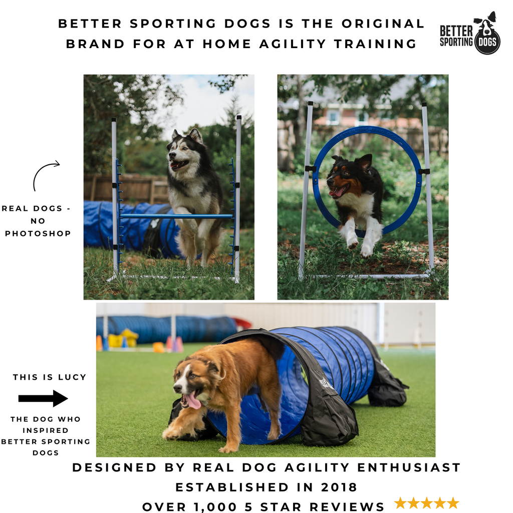 Better Sporting Dogs Upgraded Dog Agility Set – 5 Piece Training Kit with Safety Breakaway Tire Jump, Displacement Bar Jump, Tunnel, Weave Poles & Pause Box